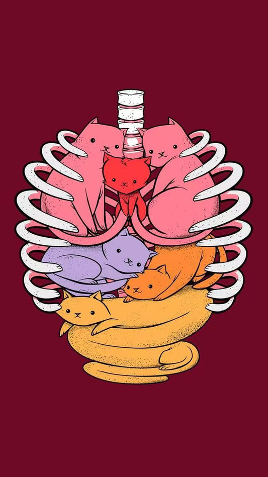 C13